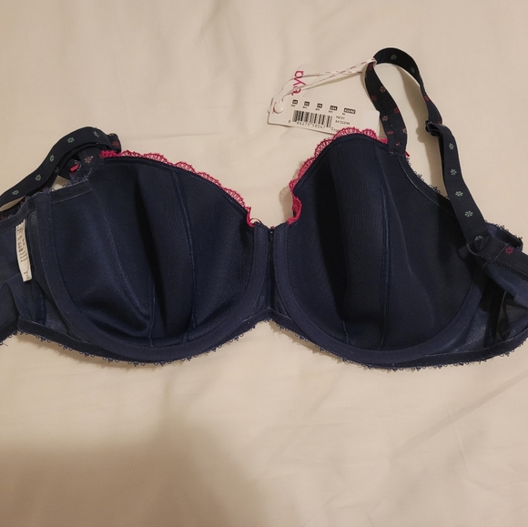 Freya Blue Bra with Lace Detailing - Picture 5 of 5